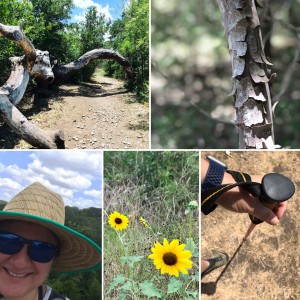 Collage of photos taken on the Savannah Trail Loop at Government Canyon State Park - Texas